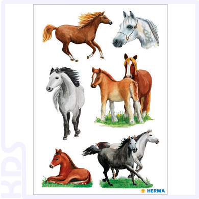 Herma Sticker 'Pferderassen'