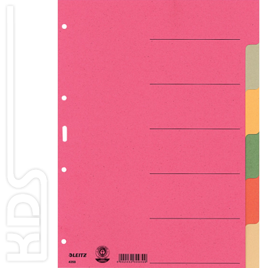 Register A4, blanko, 6-teilig, Karton, Leitz 4358-00-00